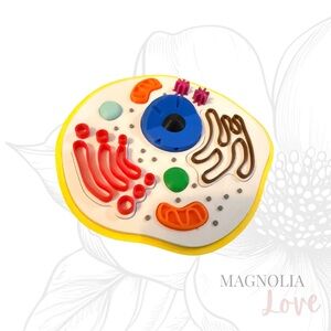 🔬 Animal Cell Puzzle Model Educational Self Contained Colorful Detailed